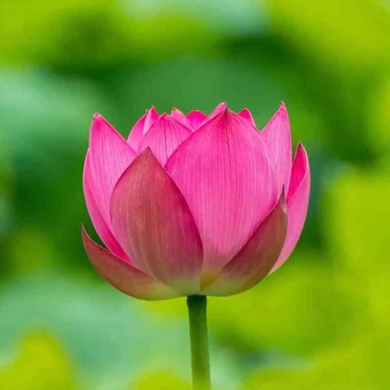 手机拍照怎么调比例6.jpg