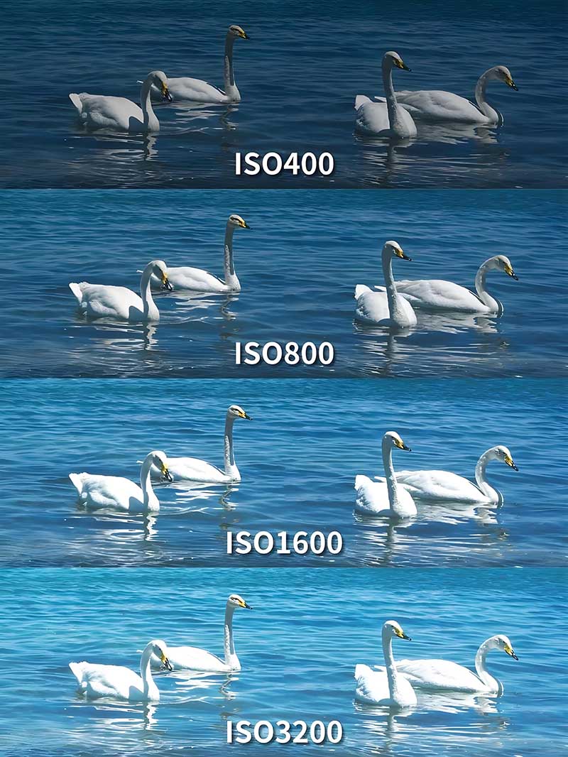 感光度3.jpg
